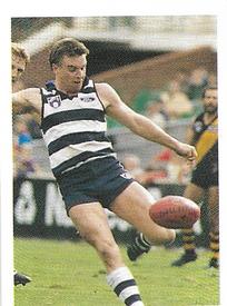 1991 Select AFL Stickers #131 Paul Couch Front